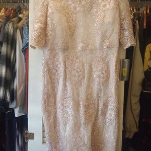 Pink Lace Sheath Dress